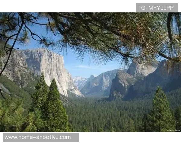 山谷独立与传统观念的碰撞探索新视角与未来发展之路